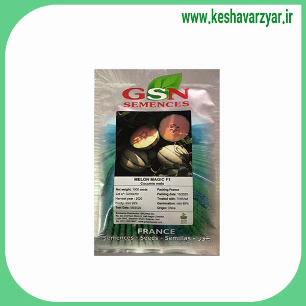 بذر خربزه هیبرید رقم MAGIC F1