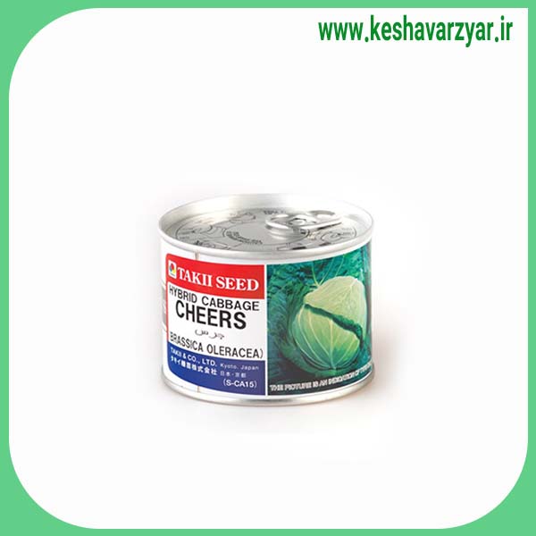 بذر کلم پیچ هیبرید تخت HARMONIA F1