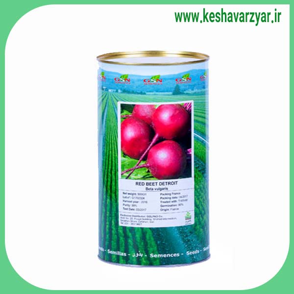 بذر چغندر لبوئی دترویت