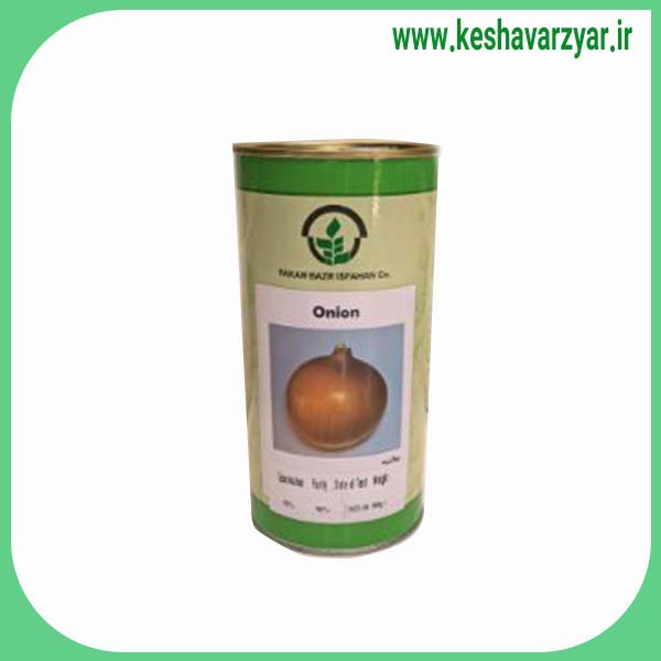 بذر پیاز زرد شش ماهه قوطی 100 گرمی