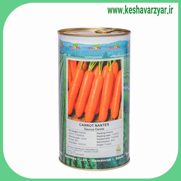 بذر هویج نانتس ۲