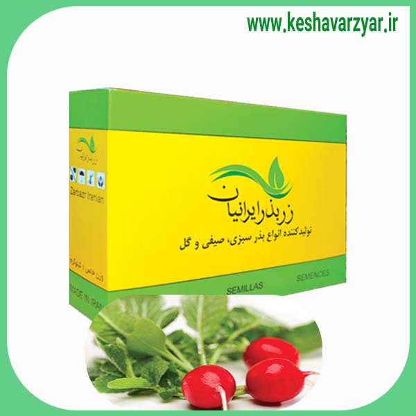 تربچه گیلاسی جعبه 1 کیلویی زر بذر ایرانیان