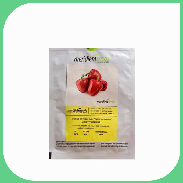 بذر فلفل دلمه ای سرخین