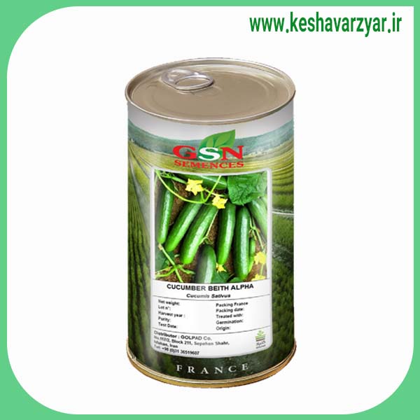 بذر خیار هیبرید فضای باز