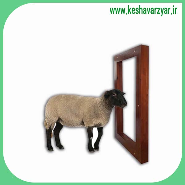 گیت ریدر GR10