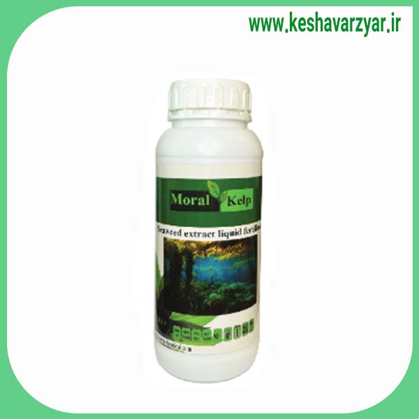 کود جلبک دریایی مورال کلپ اسپایر 1 لیتری(12 عدد)