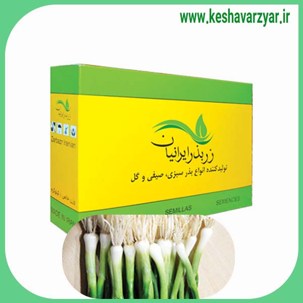 بذر پیازچه اردستانی جعبه 1 کیلویی زر بذر ایرانیان