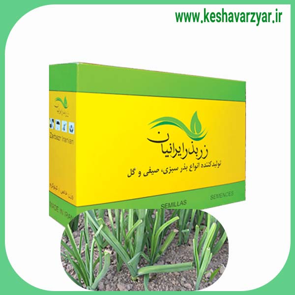 بذر تره ایرانی ممتاز 1 کیلویی زر بذر ایرانیان