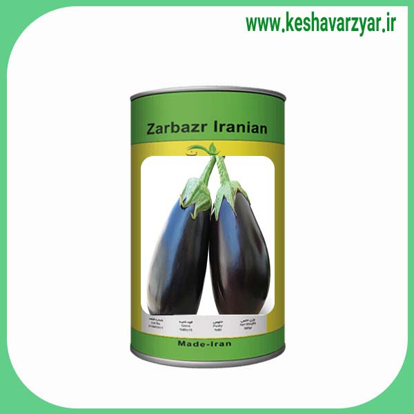 بذر بادمجان دلمه ای پیشوا قوطی 500 گرمی زربذر ایرانیان