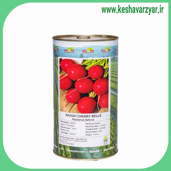 بذر تربچه چری بل