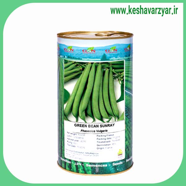 بذر لوبیا سبز سانری