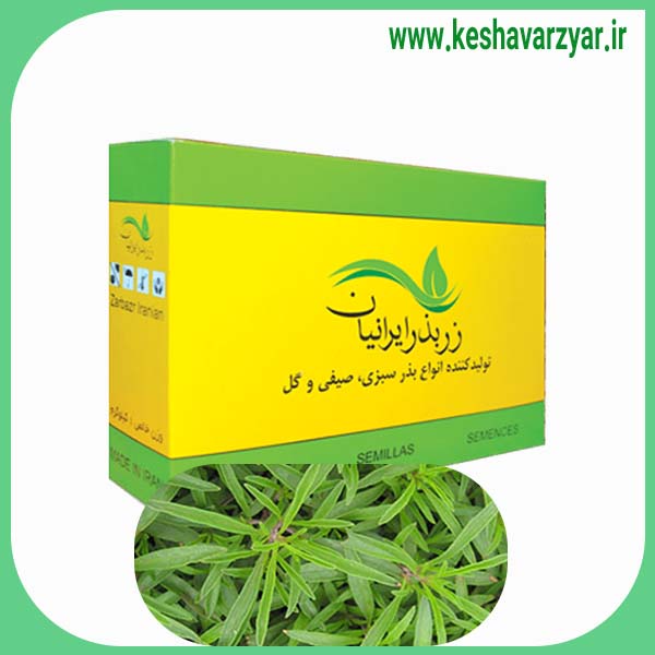 بذر مرزه با کیفیت 1 کیلویی زر بذر ایرانیان