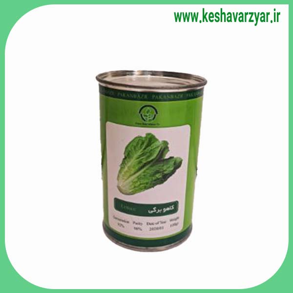 بذر کاهو برگی قوطی 100 برگی