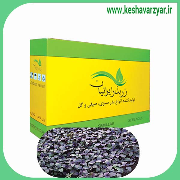 بذر ریحان بنفش جعبه 1 کیلویی زر بذر ایرانیان