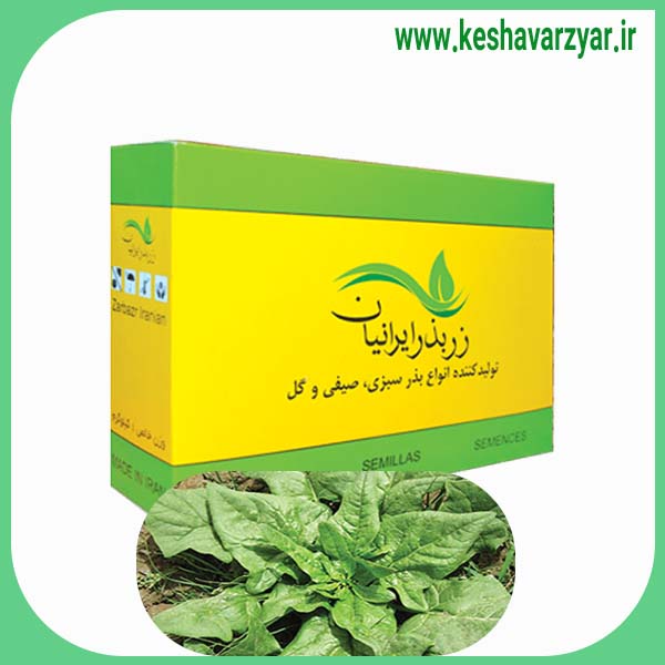 بذر اسفناج شاهرودی جعبه 1 کیلویی زر بذر ایرانیان