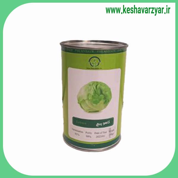 بذر کاهو پیچ قوطی 100 گرمی