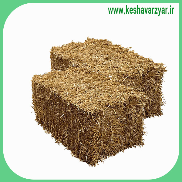 کاه خوراک دام