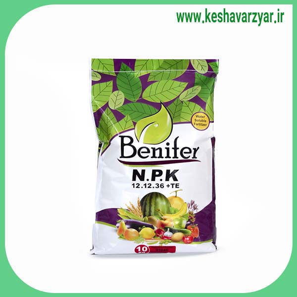 کود پودری NPK 12 12 36 +TE بنیفر