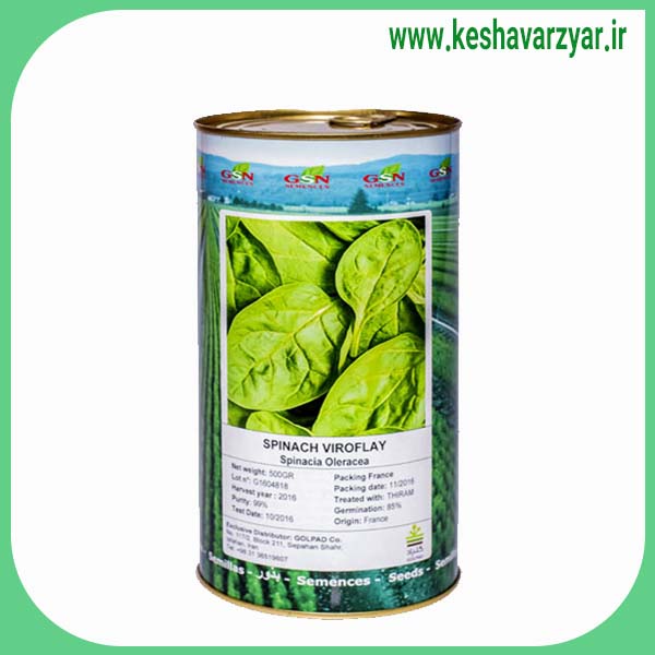 بذر اسفناج ویروفلای