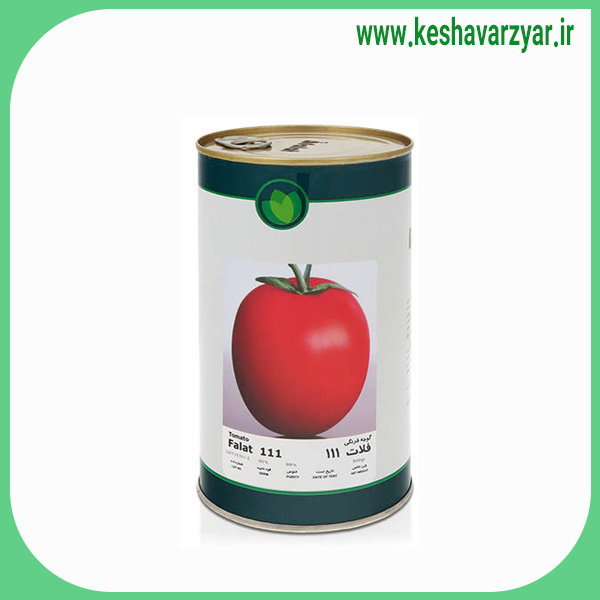 بذر گوجه فرنگی 111 فلات