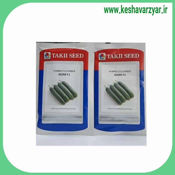 بذر خیار گلخانه ای سزار تاکی ژاپن
