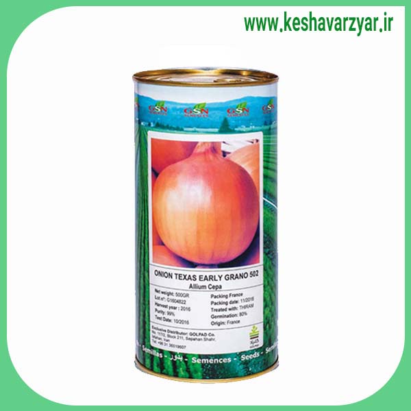 بذر پیاز یلو تگزاس ارلی گرانو ۵۰۲