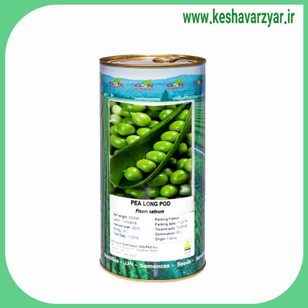 بذر نخودفرنگی رقم لانگ پاد