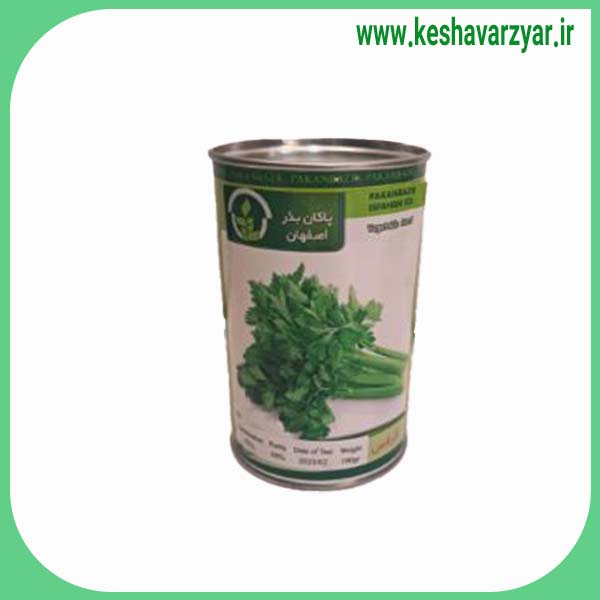 بذر کرفس اصفهانی قوطی 100 گرمی