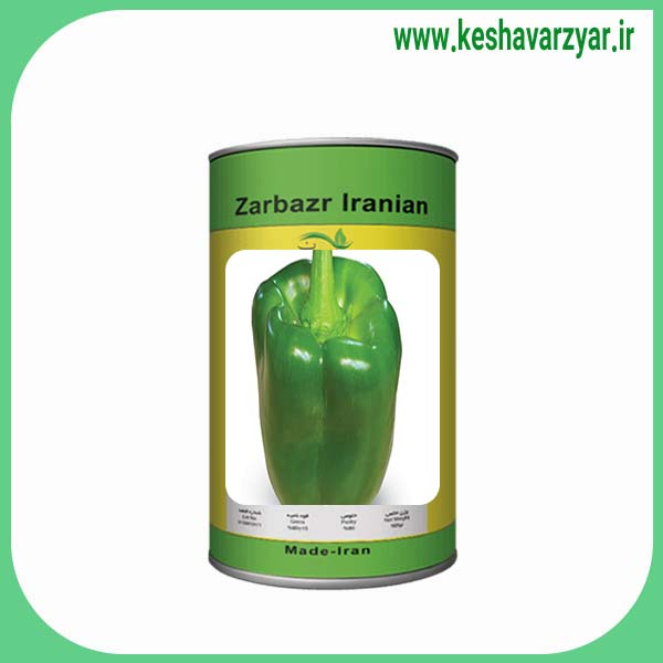 بذر فلفل دلمه ای ایرانی قوطی 500 گرمی زربذر ایرانیان