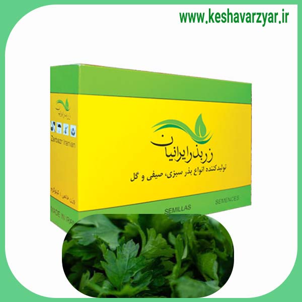 بذر جعفری پیچ شهرری1 کیلویی زر بذر ایرانیان