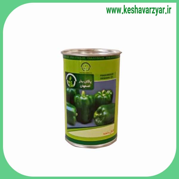 بذر فلفل دلمه قوطی 100 گرمی