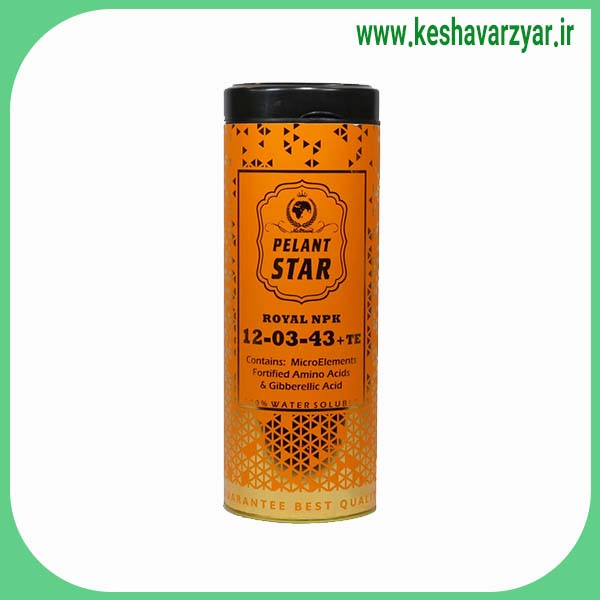 کود رویال مکس پلنت استار مدل npk 12-3-43 وزن 1 کیلوگرم