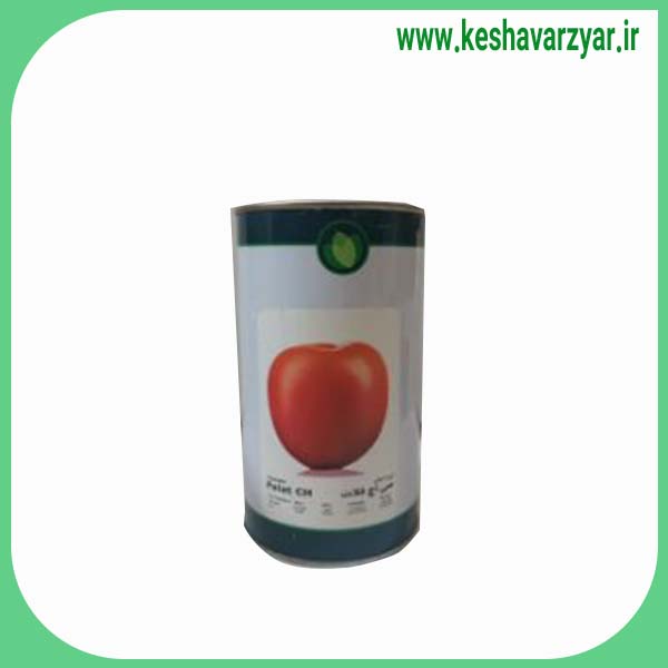 بذر گوجه CH فلات قوطی 100 گرمی