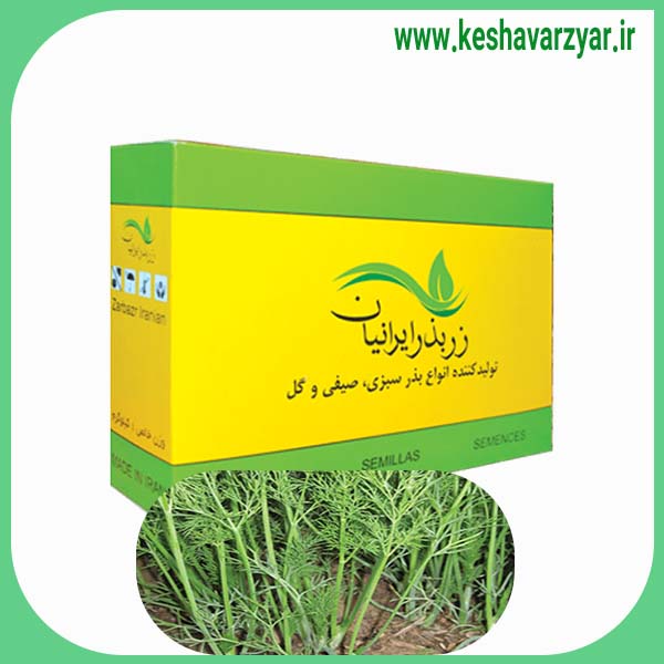 بذر شوید ورامینی جعبه 1 کیلویی زر بذر ایرانیان