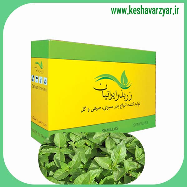 بذر ریحان سبز ممتاز 1 کیلویی زر بذر ایرانیان
