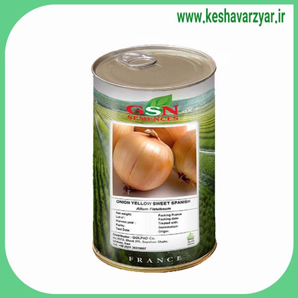 بذر پیاز یلو سوئیت اسپانیش