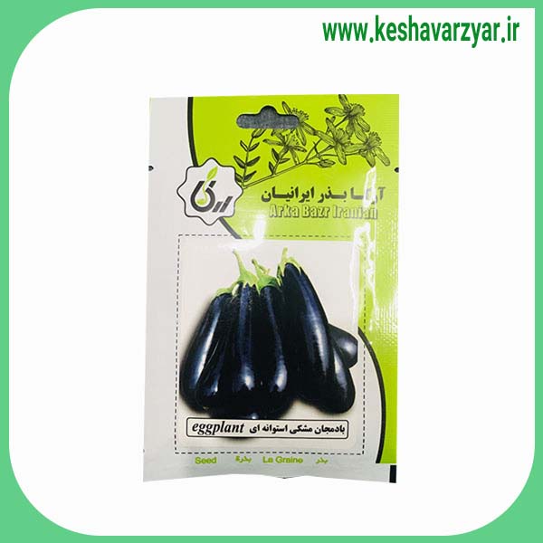 بذر بادمجان خانگی آرکا