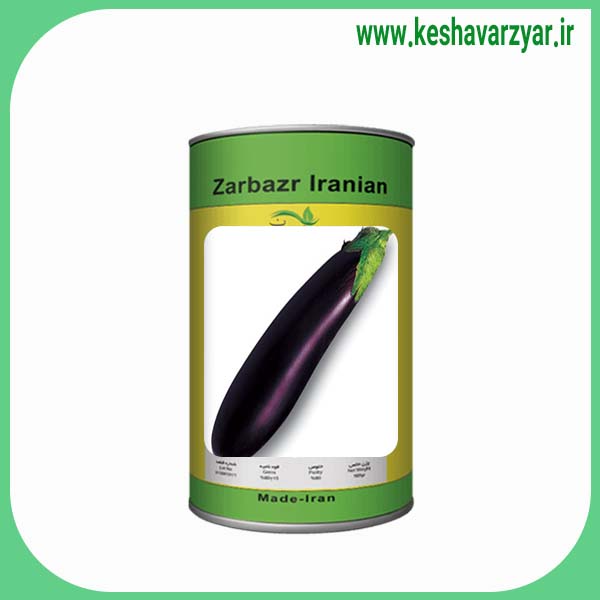 بذر بادمجان قلمی ورامینی قوطی 1 کیلویی زربذر ایرانیان